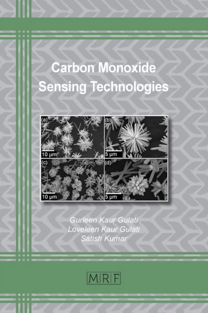 Cover for Gurleen K Gulati · Carbon Monoxide Sensing Technologies (Paperback Book) (2021)