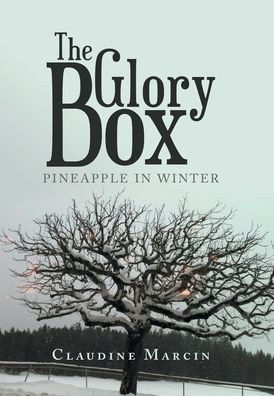 Cover for Claudine Marcin · The Glory Box (Hardcover Book) (2020)