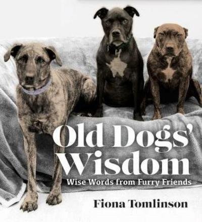Cover for Fiona Tomlinson · Old Dogs' Wisom (Paperback Book) (2018)