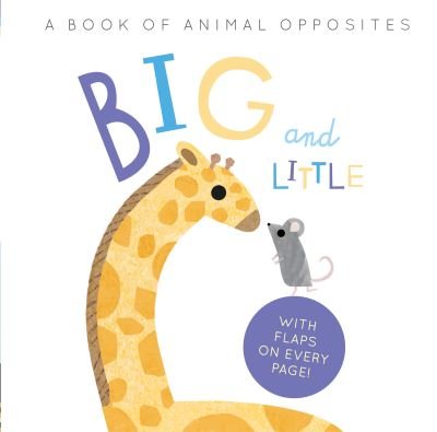 Cover for Harriet Evans · Big and Little: A Book of Animal Opposites (Tavlebog) (2021)