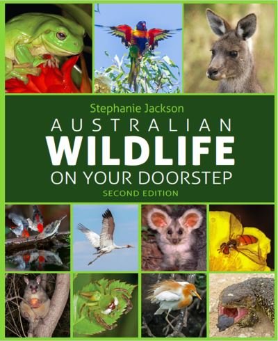 Cover for Stephanie Jackson · Australian Wildlife on Your Doorstep (Book) (2024)