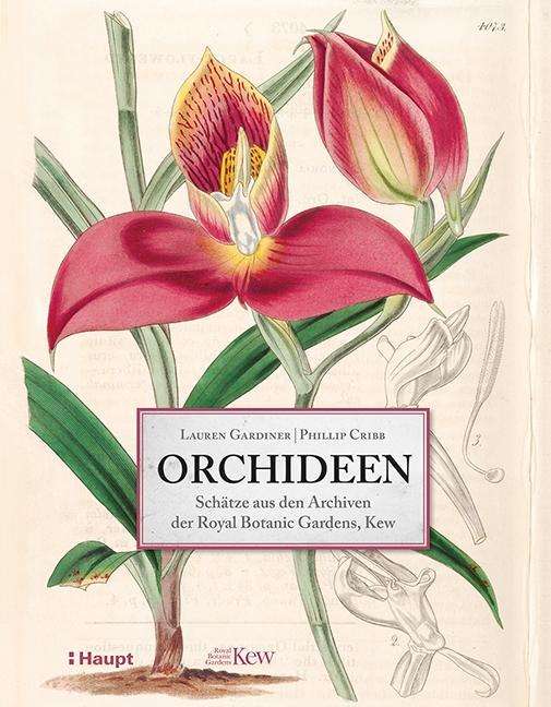 Cover for Gardiner · Orchideen (Buch)