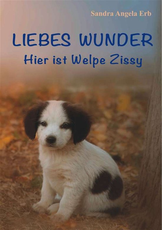 Cover for Erb · Liebes Wunder (Book)