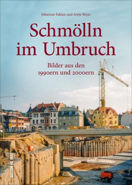 Cover for Fabian · Schmölln im Umbruch (Bok)