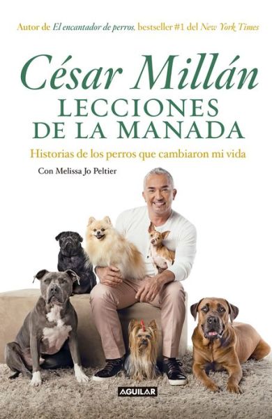 Cover for Cesar Millan · Lecciones de la manada / Cesar Millan's Lessons From the Pack: Historias de los perros que cambiaron mi vida (Paperback Book) (2017)