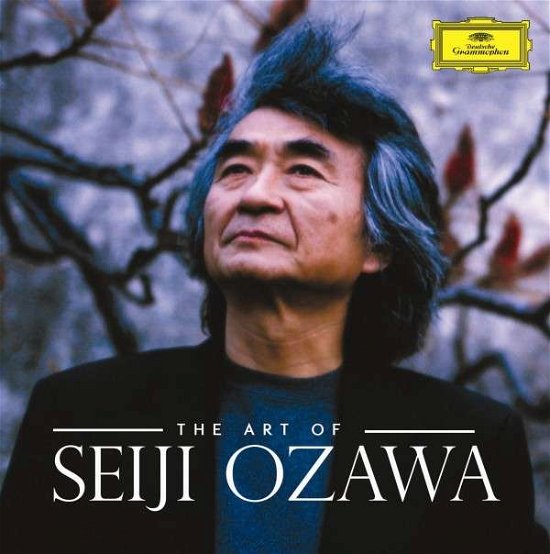 Cover for Seiji Ozawa · Art Of Seiji Ozawa (CD) (2016)