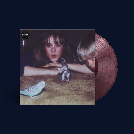 Cover for Big Thief · Masterpiece (Limited Eco Coloured Vinyl) (LP) [Indie Shop edition] (2023)