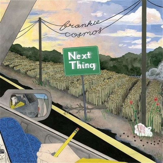 Cover for Frankie Cosmos · Next Thing (VINIL) (2016)