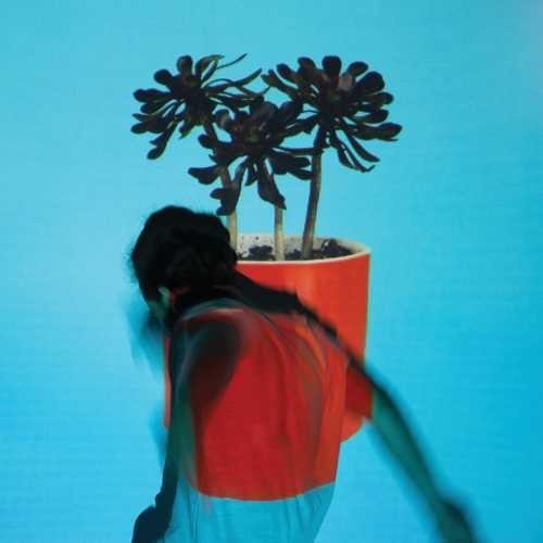 Cover for Local Natives · Sunlit Youth (CD) [Digipak] (2016)