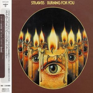 Cover for Strawbs · Burning for You (CD) [Limited edition] (2003)