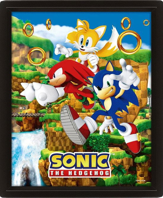 Sonic The Hedgehog (Catching Rings) 10 x 8" 3D Lenticular Poster (Framed) - Pyramid International - Bøger - PYRAMID INTERNATIONAL - 5050574017206 - 1. februar 2024