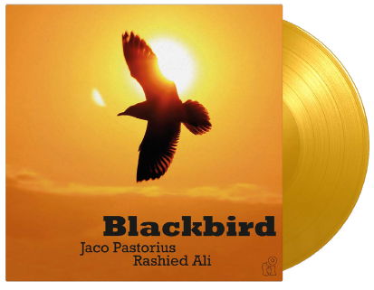 Blackbird - Jaco Pastorius & Rashied Ali - Muziek - MUSIC ON VINYL - 8719262027206 - 6 januari 2023