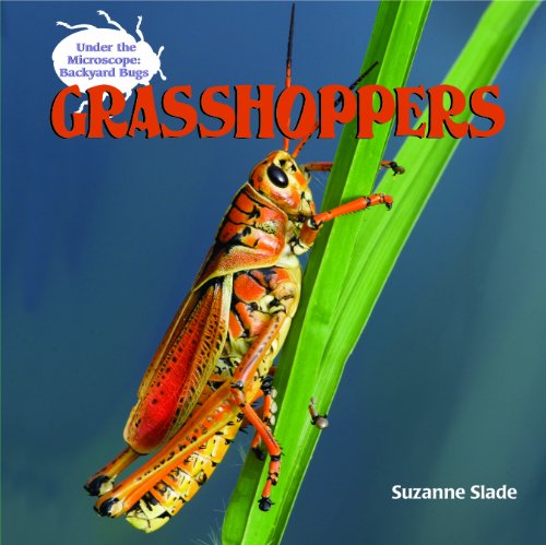 Cover for Suzanne Slade · Grasshoppers (Under the Microscope: Backyard Bugs) (Hardcover Book) (2007)