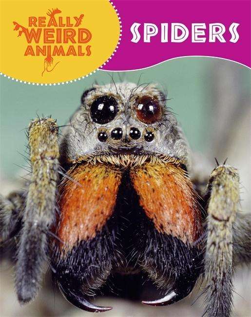 Cover for Clare Hibbert · Really Weird Animals: Spiders - Really Weird Animals (Taschenbuch) [Illustrated edition] (2015)