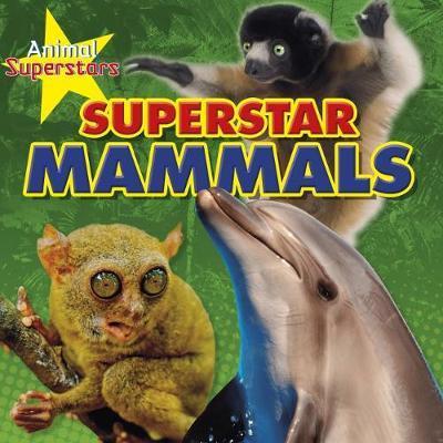 Cover for Louise Spilsbury · Mammal Superstars - Animal Superstars (Hardcover Book) (2018)