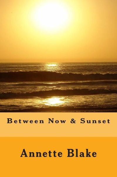 Cover for Annette Blake · Between Now &amp; Sunset (Paperback Book) (2013)