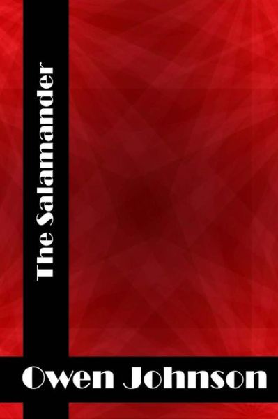 The Salamander: (Owen Johnson Classics Collection) - Owen Johnson - Bücher - Createspace - 9781514793206 - 1. Juli 2015
