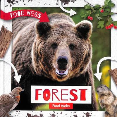 Cover for Harriet Brundle · Forest Food Webs - Food Webs (Hardcover bog) (2019)