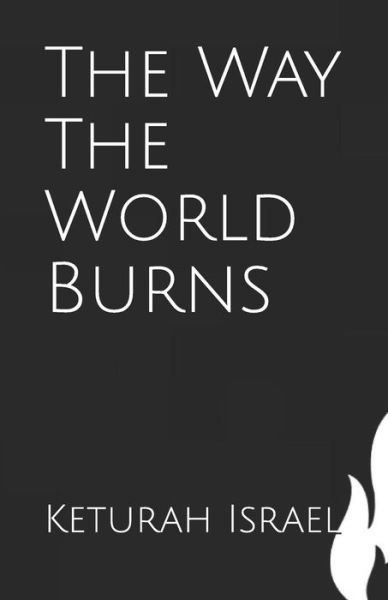 Cover for Keturah T Israel · The Way The World Burns (Paperback Book) (2019)