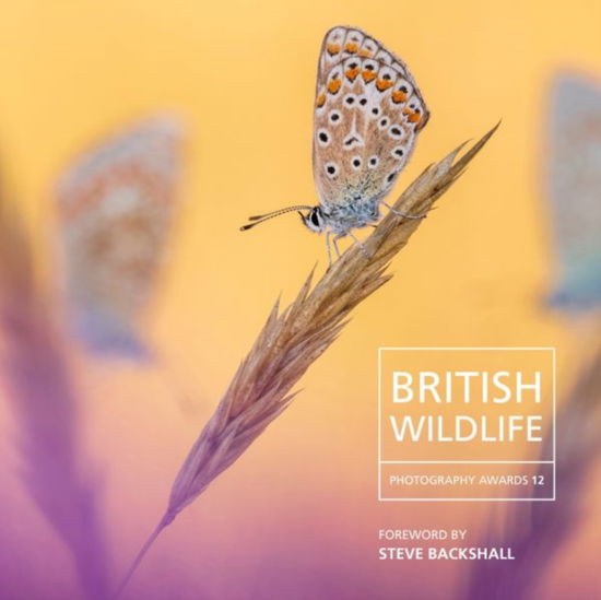 Cover for Will Nicholls · British Wildlife Photography Awards 12 (Gebundenes Buch) (2024)