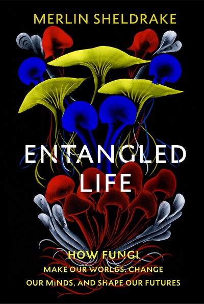 Entangled Life - Merlin Sheldrake - Kirjat - Vintage Publishing - 9781847925206 - torstai 3. syyskuuta 2020