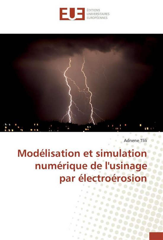 Cover for Tlili · Modélisation et simulation numéri (Bog)