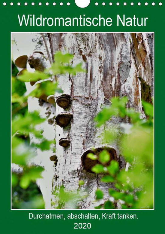 Cover for Gaudig · Wildromantische Natur (Wandkalen (Book)