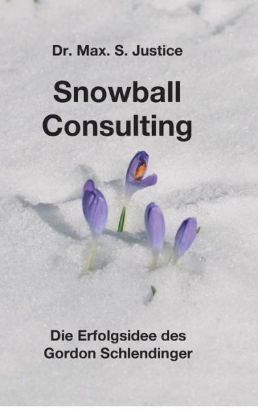 Snowball Consulting - S Justice - Książki -  - 9783746927206 - 11 kwietnia 2018