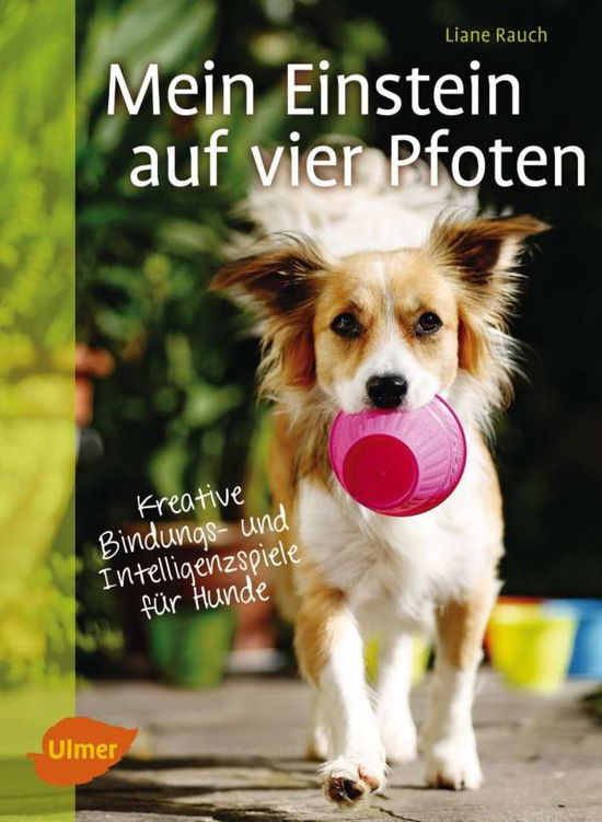 Cover for Rauch · Mein Einstein auf vier Pfoten (Buch)