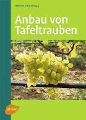 Cover for Werner Ollig · Anbau von Tafeltrauben (Paperback Book) (2010)