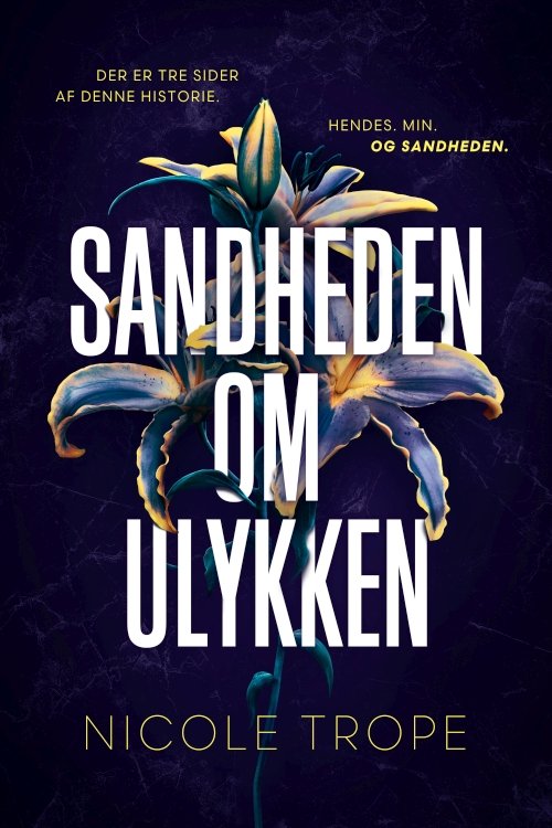 Cover for Nicole Trope · Sandheden om ulykken (Sewn Spine Book) [1st edition] (2024)