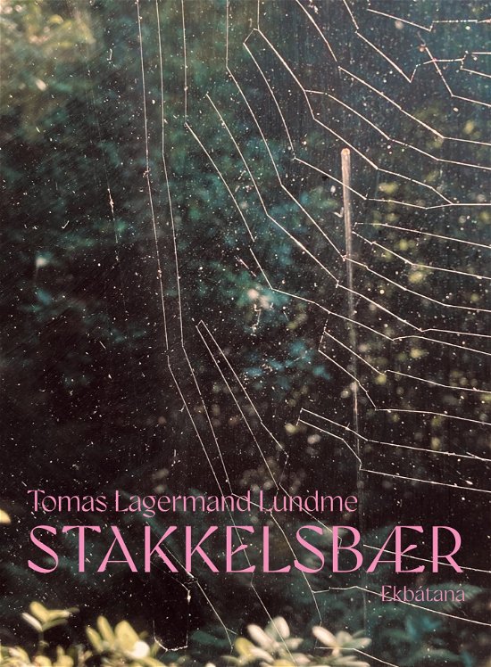 Cover for Tomas Lagermand Lundme · Stakkelsbær (Sewn Spine Book) [1. Painos] (2024)
