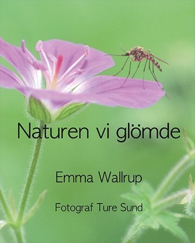 Emma Wallrup · Naturen vi glömde (Innbunden bok) (2019)