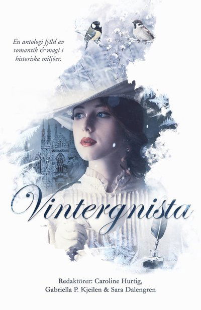 Vintergnista - Sara Dalengren - Libros - Seraf förlag - 9789189522206 - 7 de diciembre de 2022