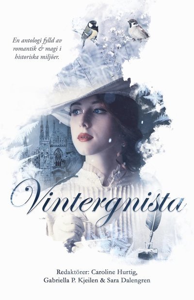 Cover for Sara Dalengren · Vintergnista (Book) (2022)