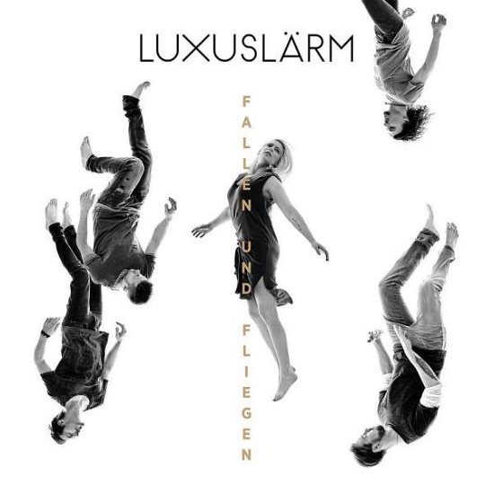 Fallen Und Fliegen - Luxuslarm - Muziek - POLYDOR - 0602547791207 - 10 maart 2016