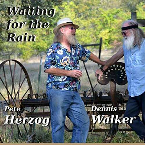 Cover for Dennis Walker · Waiting for the Rain (CD) (2015)