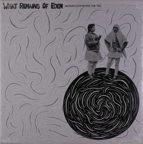Cover for V-a · Whats Remains of Eden (VINYL) (2013)