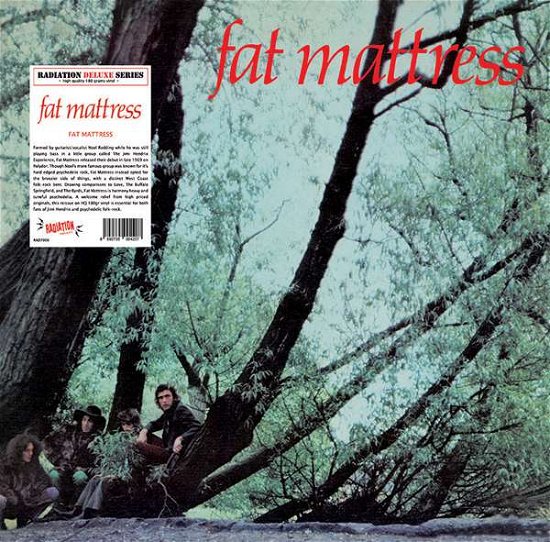 Cover for Fat Mattress (LP) (2016)