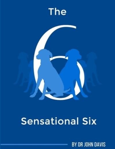 Cover for John Davis · Sensational Six (Bok) (2018)