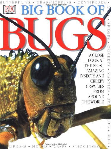 Cover for Dk · Big Book of Bugs (Hardcover Book) [1st edition] (2000)