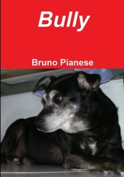 Cover for Bruno Pianese · Bully (Book) (2013)