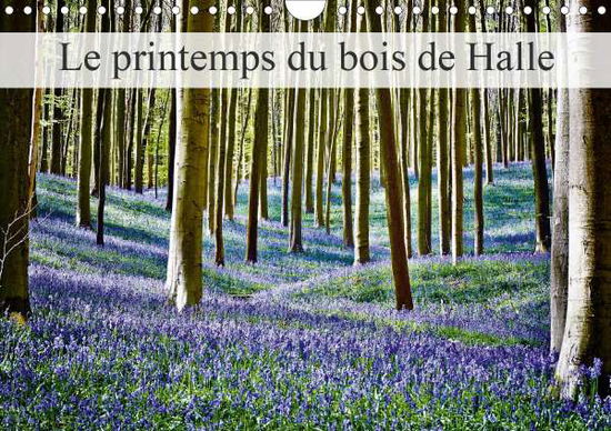 Cover for Patrick · Le printemps du bois de Halle ( (Bok)