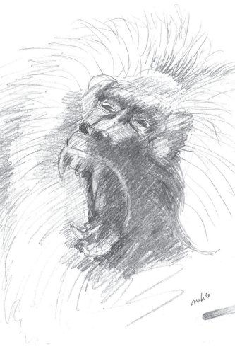 Cover for Margaret Hehman Smith · Mystories of the Savannah (Paperback Book) (2007)