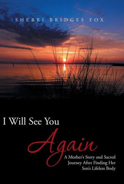 Cover for Sherri Bridges Fox · I Will See You Again: a Mother's Story and Sacred Journey After Finding Her Son's Lifeless Body (Hardcover Book) (2013)