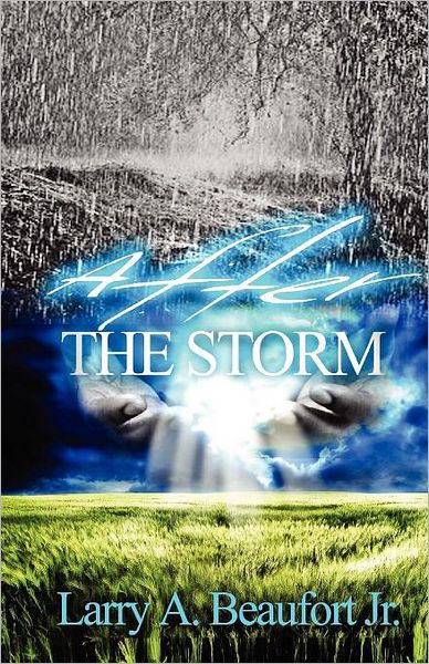 Cover for Larry a Beaufort Jr · After the Storm (Paperback Book) (2012)