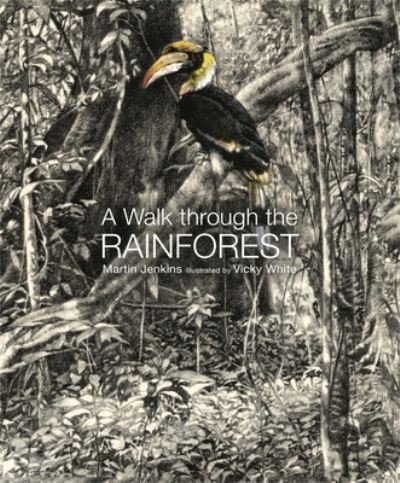 Cover for Martin Jenkins · A Walk Through the Rain Forest (Hardcover Book) (2022)