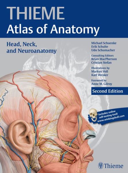 Cover for Michael Schuenke · Head, Neck, and Neuroanatomy (THIEME Atlas of Anatomy) - THIEME Atlas of Anatomy (Paperback Book) [2 New edition] (2016)