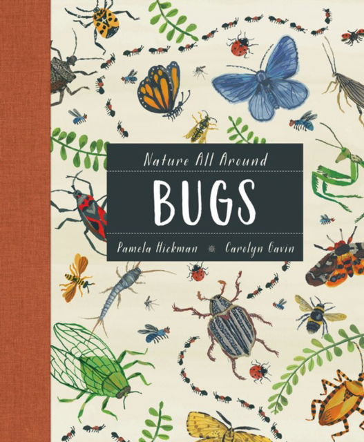 Cover for Pamela Hickman · Nature All Around: Bugs (Hardcover Book) (2019)