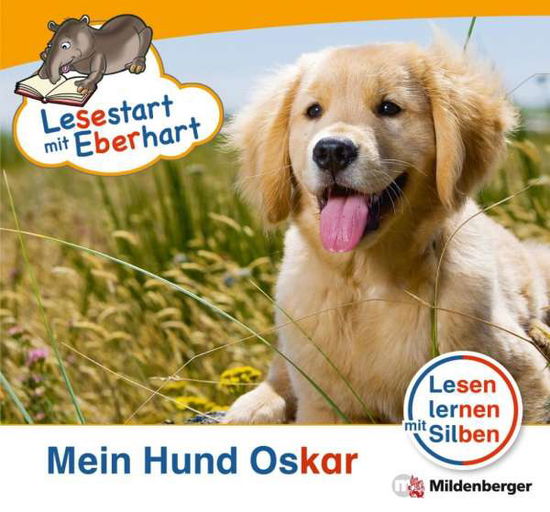 Cover for Achim Schulte Stefanie Drecktrah · Lesestart Mit Eberhart.ls1.01 Mein Hund (Book)